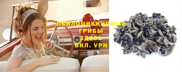 тгк Баксан