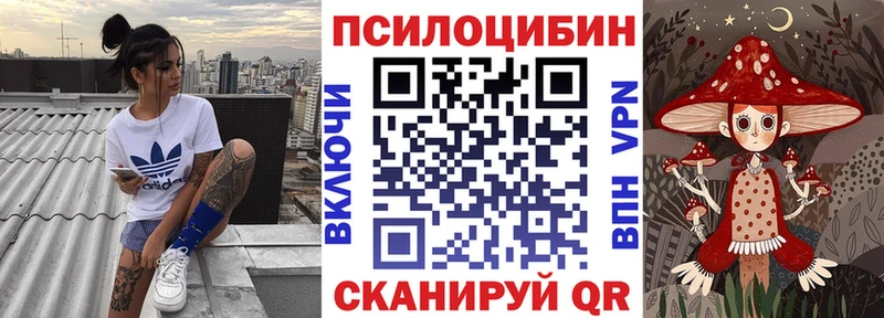 Псилоцибиновые грибы мицелий купить Шадринск